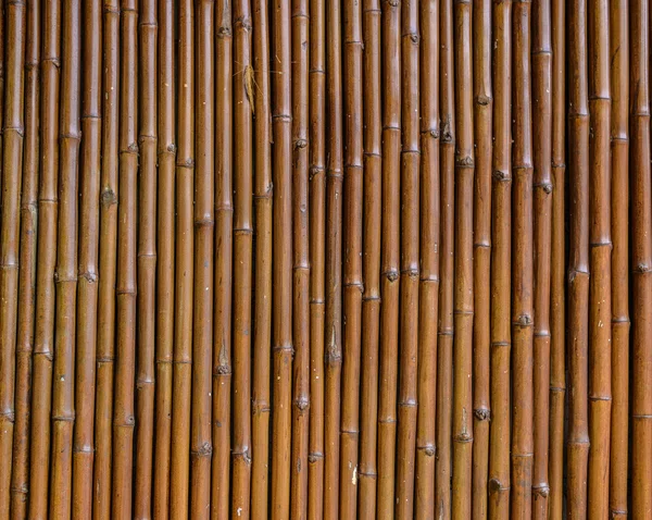 Fondo de pared de bambú — Foto de Stock
