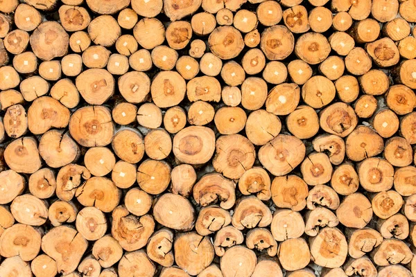 ağaç kütükleri arka plan