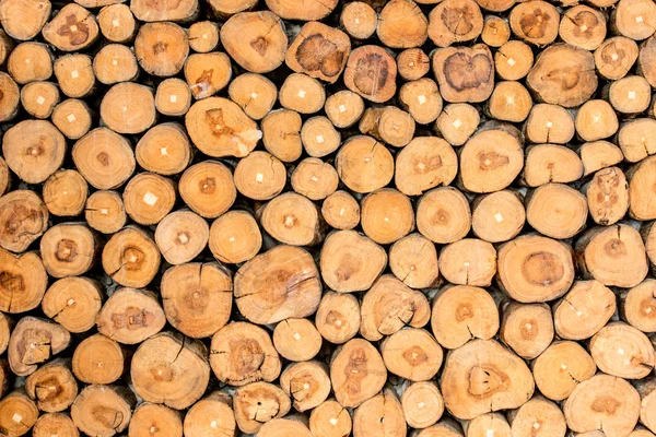 ağaç kütükleri arka plan