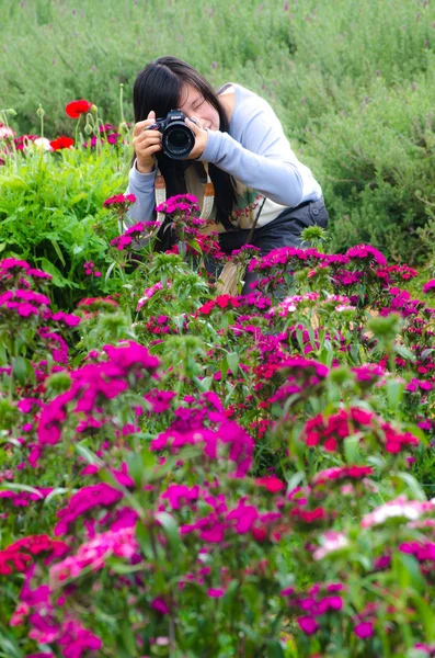 美しい若い女性の花の草原 — ストック写真