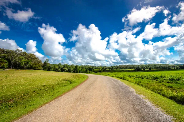 Camino de asfalto a través del campo verde y las nubes en el cielo azul en el día de verano — Foto de Stock