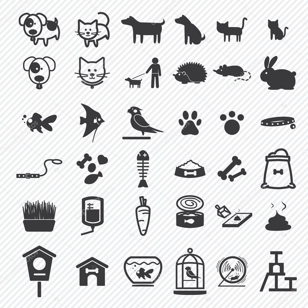 Pet icons set  illustration eps10
