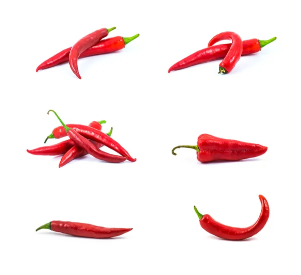 Red hot chili pepper isolated on a white background — Stock Photo, Image