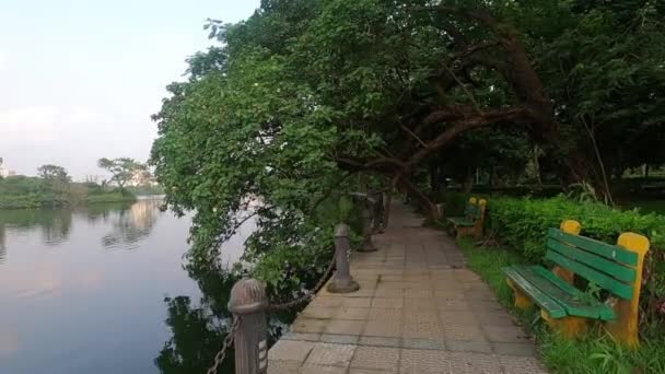 日落时分 在湖边散步公园的一棵树下的砖道上散步 Rabindra Sarovar Lake Dhakuria Rabindra Sarobar Kolkata West — 图库视频影像