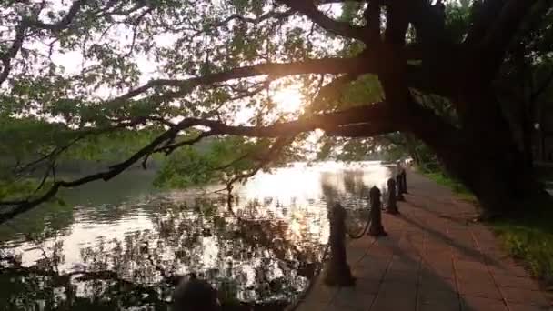 Gün Batımında Bir Göl Kenarındaki Parkta Ağacın Altındaki Patikada Yürürken — Stok video