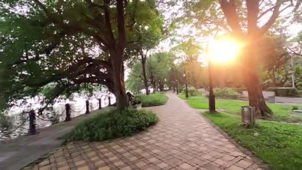 Sinar Matahari Melalui Pohon Sambil Berjalan Jalan Setapak Bawah Pohon — Stok Video