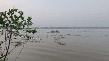 Gün batımında Horizon nehri manzarası ön plandaki ağaç dalına ve temiz gökyüzüne karşı. Feribot uzaklıktan geçiyor.. 