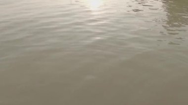 Nehir yüzeyindeki dingin dalga. Gün batımı Güneş Işığı Yansıması. Doğa Arkaplanı