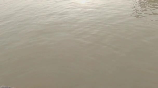 平静的风浪吹过河流水面 日落在水面上的反光 大自然的美丽背景 — 图库视频影像
