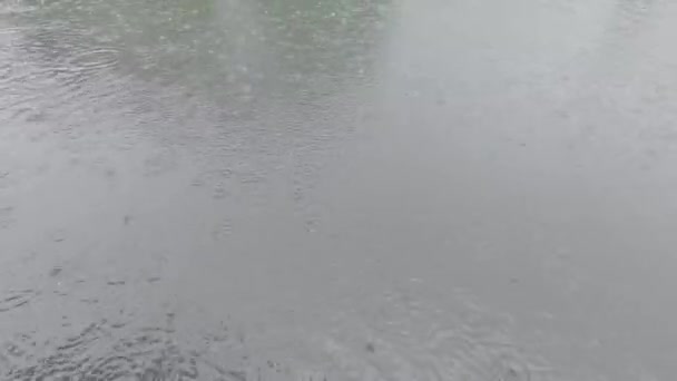 Monsun Regentropfen Fallen Auf Die Teichwasseroberfläche Regenzeit Hintergrund Natur — Stockvideo