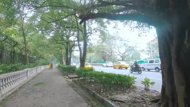 Прогулка Пешеходной Дорожке Главной Дороге Центре Калькутты Декабре Зимой Квинс — стоковое видео