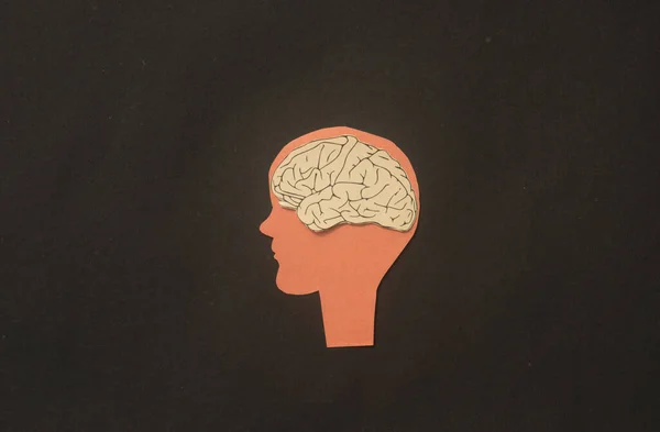 Paper Cerebro Humano Una Ilustración Cabeza Silueta Idea Pensamiento Mente — Foto de Stock