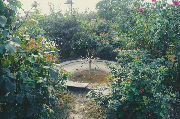 Belle Fontaine Eau Jardin Dans Terrain Cour Sur Parc Public — Photo