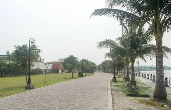 Palmeras Coco Largo Del Lago Parque Público Paisaje Natural Fondo — Foto de Stock