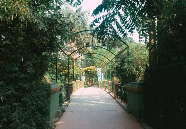 Bahçede bir köprü.