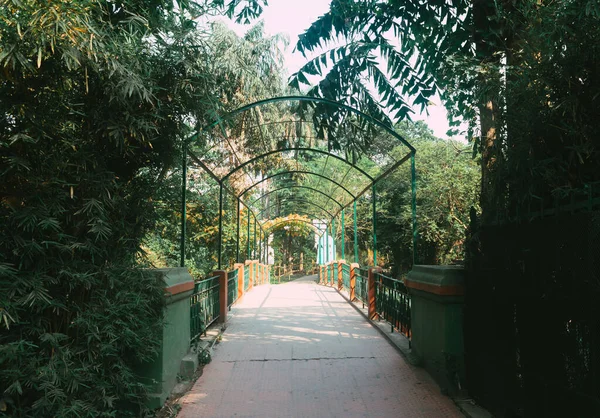 Bahçede bir köprü.