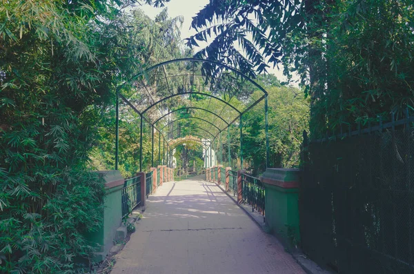 Puente Jardín —  Fotos de Stock