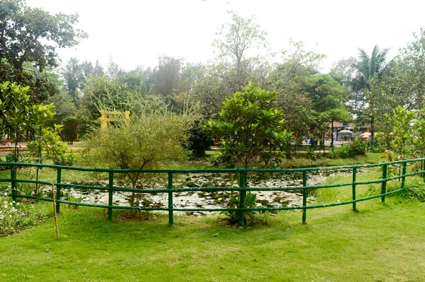 Dış Bambu Çitleri Halk Parkının Resmi Bahçesinde — Stok fotoğraf