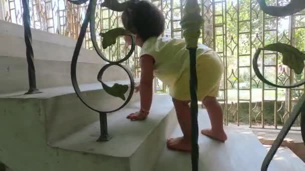 Baby Climbing Stairs Cute Toddler Boy Climbing Stairways Home His — Stock Video