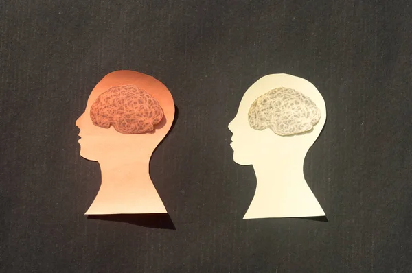 Dos Personas Cerebro Humano Aislado Dentro Cabeza Humana Ilustración Papel — Foto de Stock