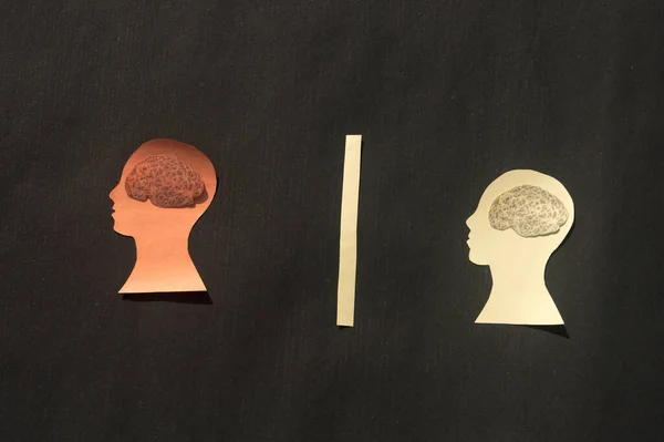 Dos Personas Separadas Cerebro Humano Aislado Dentro Cabeza Humana Ilustración — Foto de Stock