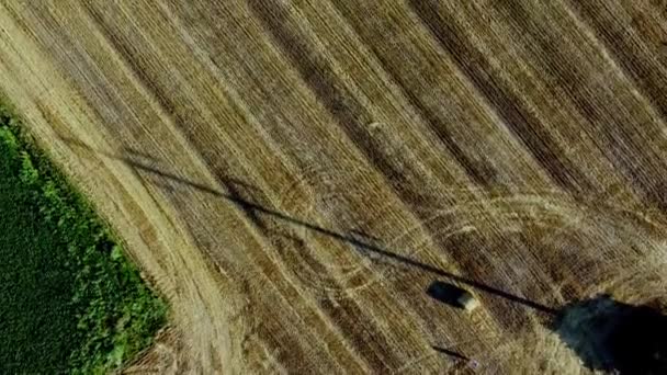 Haystacks Harvested Field Ukraine — стокове відео