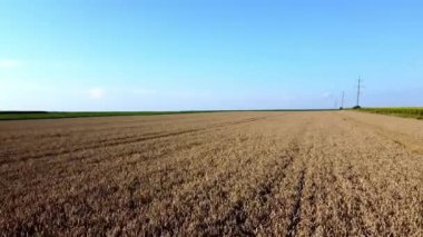 Flying over a wheat field in Ukraine