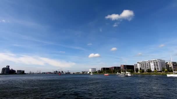 Белые Яхты Плывут Вдоль Залива Амстердаме — стоковое видео