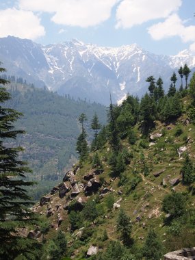 ağaçlar himalaya tarafından kaplı dağ yamacı