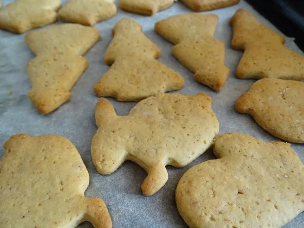 Traditional christmas cookies only cooked without cream — 图库照片