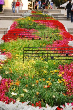 müzik flowerbed