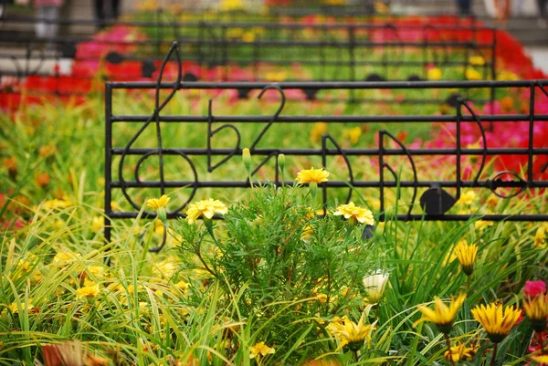 Music Flowerbed — Stock Photo, Image