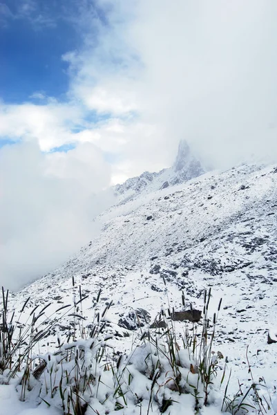 Alpen in winterjas Stockfoto