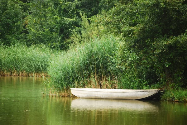 Lake, boat and birds — Stock Photo, Image