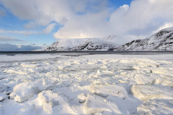 Winterlandschap — Stockfoto