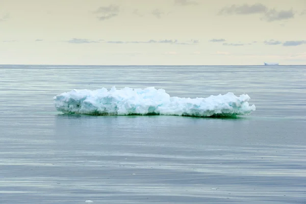 Ijsberg, iceshelfs en bergen in antarctica — Stockfoto