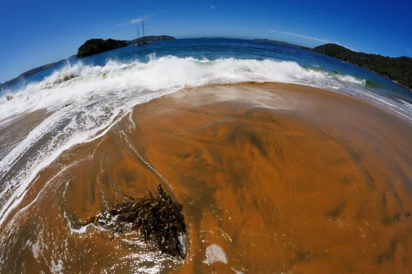 Beach — Stock Photo, Image