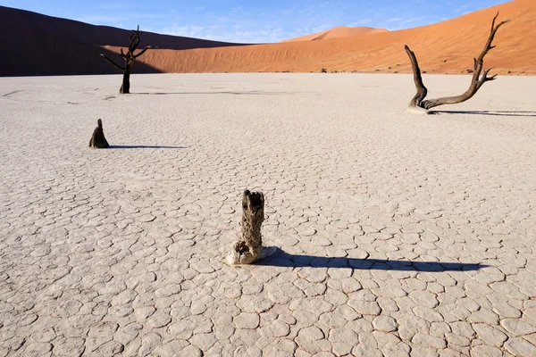 Deadvlei in Sossusvlei — Stock Photo, Image