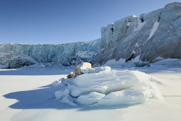 Krajobraz spitsbergen — Zdjęcie stockowe