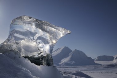 Piece of ice sticking out of sea ice. clipart