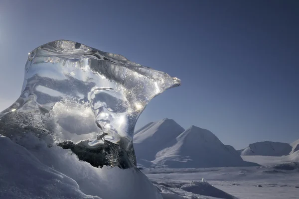 Kawałek lodu wystaje lodu morskiego. — Zdjęcie stockowe