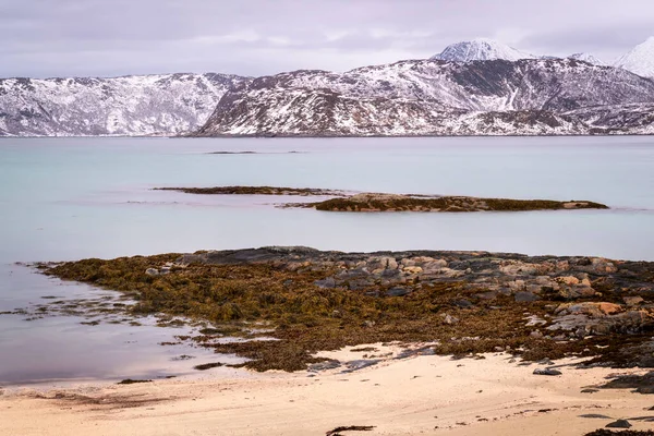 Widok Plażę Arktyce Norwegia Nocy Polarnej Pokrytymi Śniegiem Górami Tle — Zdjęcie stockowe