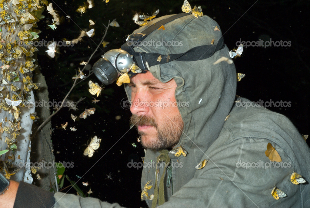 Entomologist — Stock Photo © KirsanovVal 28323481