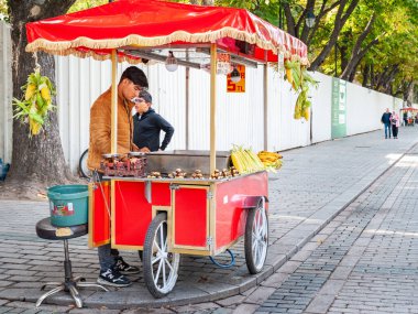Kestane satıcısı. İstanbul 'da bir sokak satıcısı. Türkiye 'nin simgeleri. Turistik bir yer. Hindi. İstanbul. 25 Eylül 2021. 