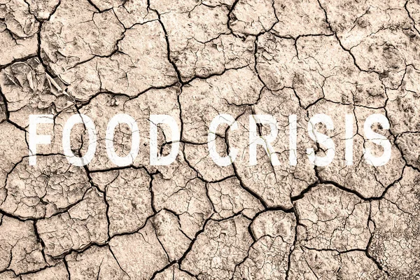 Food crisis. World hunger. Failed grain crops. Bread shortage. Drought and crop failure. The global threat of hunger around the world. Economic crisis.