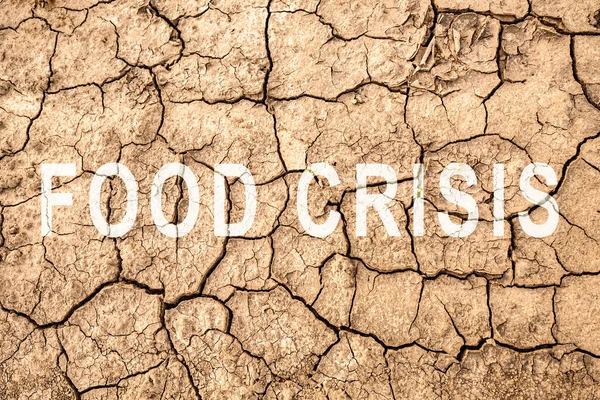 Food crisis. World hunger. Failed grain crops. Bread shortage. Drought and bad harvest. The global threat of hunger around the world. Economic crisis.