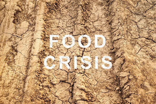 Food crisis. Hunger in the world. Failed grain crops. Bread shortage. Drought and crop failure. The global threat of famine to the whole world. Economic crisis.