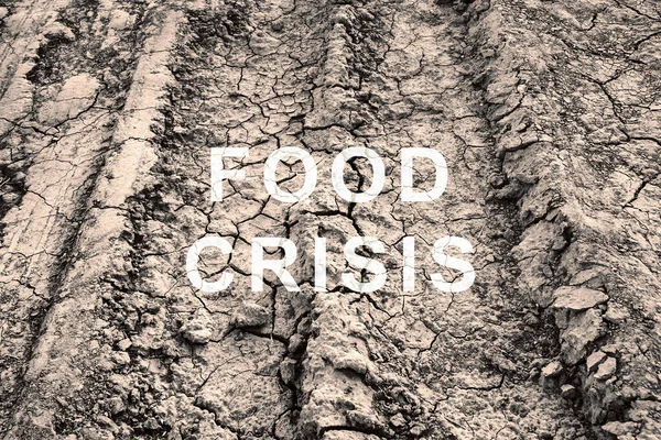 Food crisis. Hunger in the world. Failed grain crops. Bread shortage. Drought and crop failure. The global threat of hunger around the world. Dry land. Economic crisis.