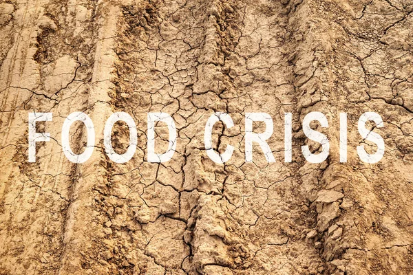 Food crisis. World hunger. Failed grain crops. Bread shortage. Drought and crop failure. The global threat of famine to the whole world. Economic crisis.