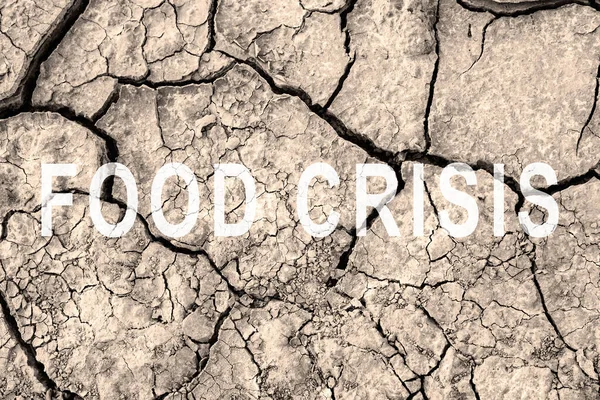 Food crisis. World hunger. Failed grain crops. Bread shortage. Drought and crop failure. The global threat of famine to the whole world. Dry land. Economic crisis.